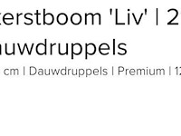 Luxe kunstkerstboom liv 215 cm - afbeelding 4 van  4