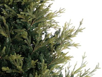 Luxe kunstkerstboom noan 180 cm - afbeelding 2 van  4