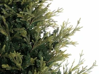 Luxe kunstkerstboom noan 180 cm - afbeelding 2 van  4