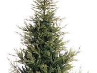 Veiling van diverse luxe kerstbomen - verzendveiling