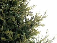 Luxe kunstkerstboom noan 180 cm - afbeelding 2 van  4