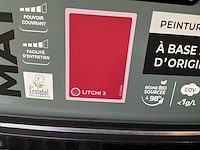 Luxens - litchi 2 - verf (21x) - afbeelding 3 van  6