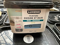 Luxens fjord 2 verf (40x) - afbeelding 3 van  7
