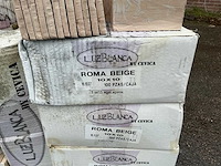 Luzblanca - roma beige - 10x10 cm - 8 m2 - partij wandtegel - afbeelding 4 van  4