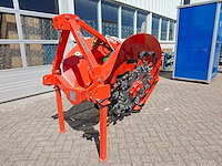 Lyals - 2025 - greppelfrees - afbeelding 1 van  13