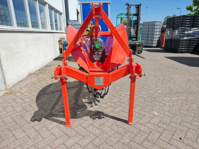 Lyals - 2025 - greppelfrees - afbeelding 11 van  13