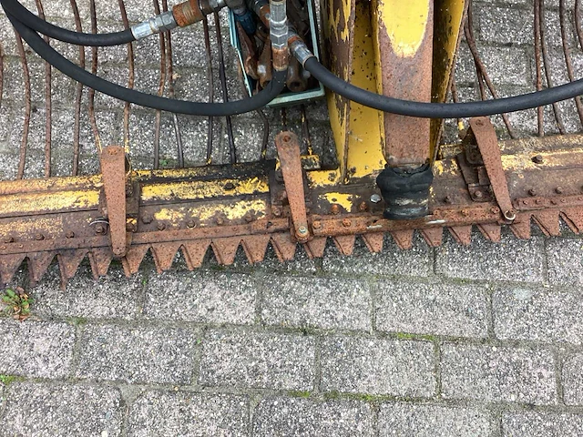 Maaikorf - afbeelding 6 van  15