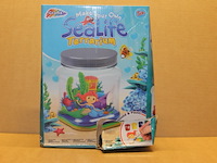 Maak je eigen terratorium ds kapot 1x in krat f - afbeelding 2 van  3