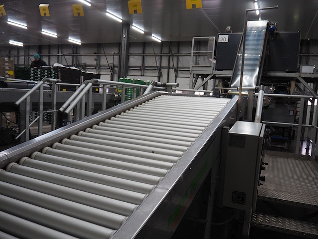 Maf roda - afbeelding 8 van  12