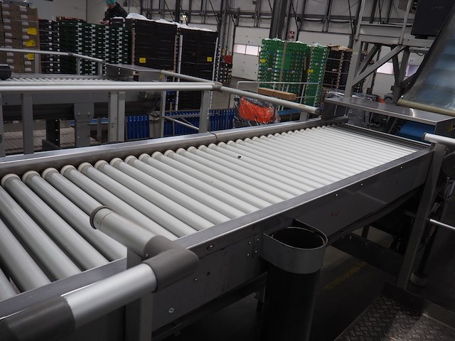 Maf roda - afbeelding 9 van  12