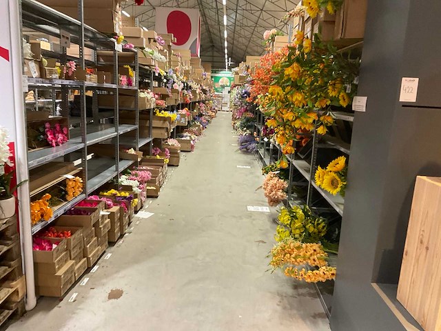 Magazijnstelling - afbeelding 9 van  16