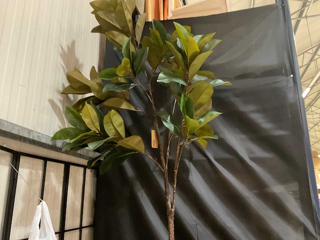 Magnolia kunstkamerplant met zuilen - afbeelding 2 van  9