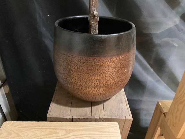 Magnolia kunstkamerplant met zuilen - afbeelding 3 van  9