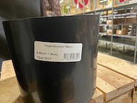 Magnolia kunstkamerplant met zuilen - afbeelding 5 van  9