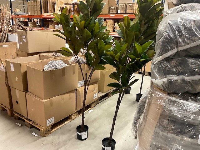 Magnolia plant kunstkamerplant (2x) - afbeelding 1 van  5