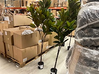 Magnolia plant kunstkamerplant (2x) - afbeelding 1 van  5