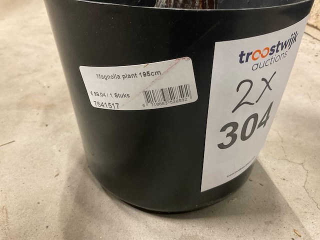 Magnolia plant kunstkamerplant (2x) - afbeelding 4 van  5