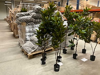 Magnolia plant kunstkamerplant (4x) - afbeelding 1 van  6