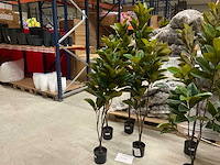 Magnolia plant kunstkamerplant (4x) - afbeelding 2 van  6