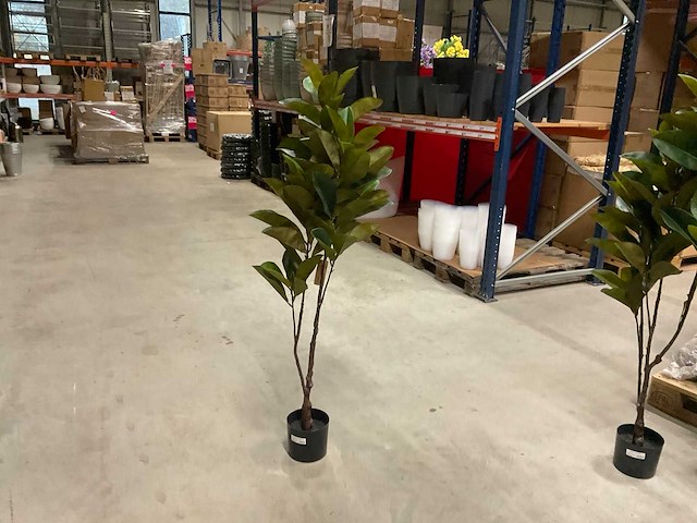 Magnolia plant kunstkamerplant (4x) - afbeelding 3 van  6