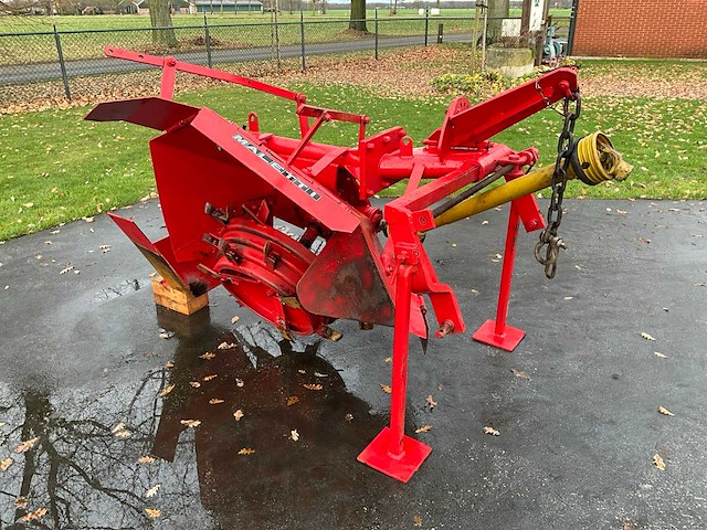 Maletti afr os greppelfrees - afbeelding 1 van  6