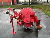 Maletti afr os greppelfrees - afbeelding 4 van  6