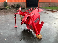 Maletti afr os greppelfrees - afbeelding 5 van  6