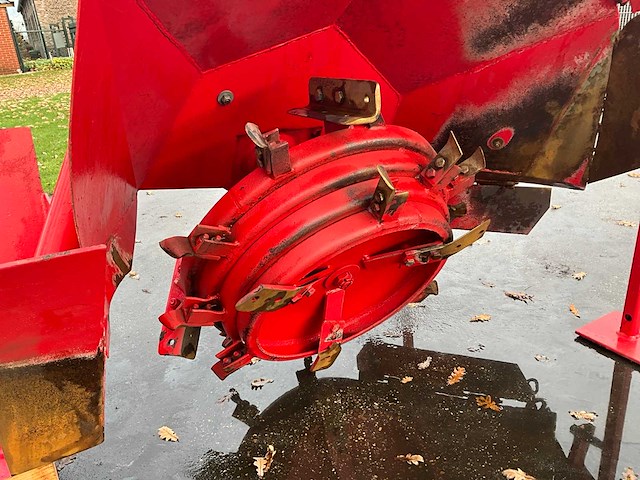 Maletti afr os greppelfrees - afbeelding 6 van  6