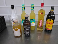 Malibu, limoncello, etc sterke drank fles (7x) - afbeelding 2 van  3