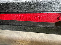 Mammoet - skelter - trapskelter met aanhanger - afbeelding 3 van  6