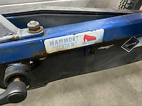 Mammoet skelter - afbeelding 7 van  7
