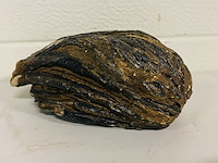 Mammoetkies (wolharige) - afbeelding 4 van  4