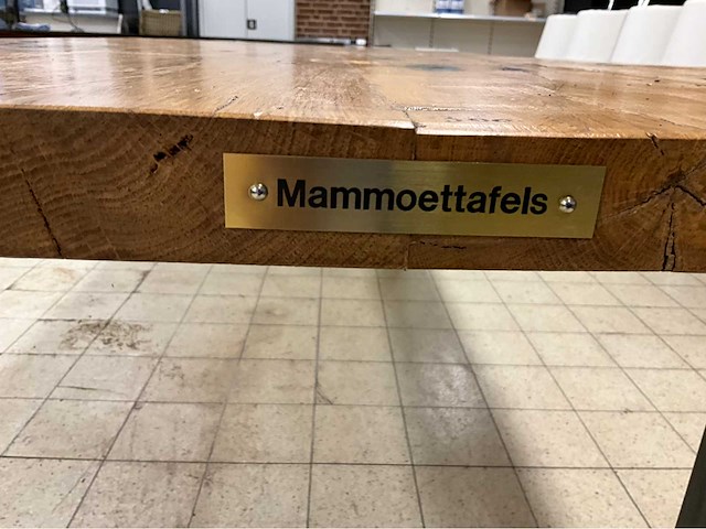 Mammoettafels eikenhouten restauranttafel - afbeelding 3 van  13