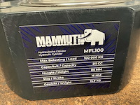 Mammuth mfl100 hydraulische hefcilinder - afbeelding 2 van  2