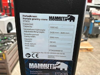 Mammuth ptk10 portaalkraan - afbeelding 10 van  10