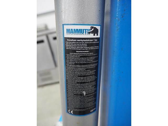 Mammuth - afbeelding 2 van  10