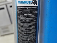 Mammuth - afbeelding 2 van  10