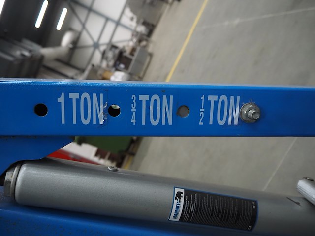 Mammuth - afbeelding 8 van  9