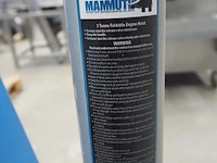 Mammuth - afbeelding 8 van  9