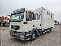 Man - tgl 1.180 - paardenwagen - 2012