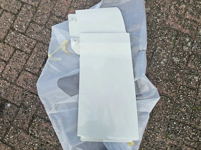 Man - zijfender bovenkant links - afbeelding 2 van  4