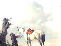 Man met paard - afbeelding 3 van  5