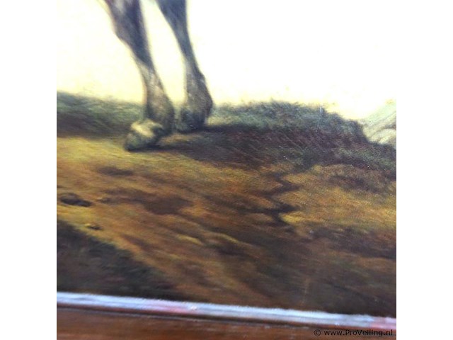 Man met paard - afbeelding 4 van  5