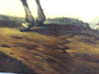 Man met paard - afbeelding 4 van  5