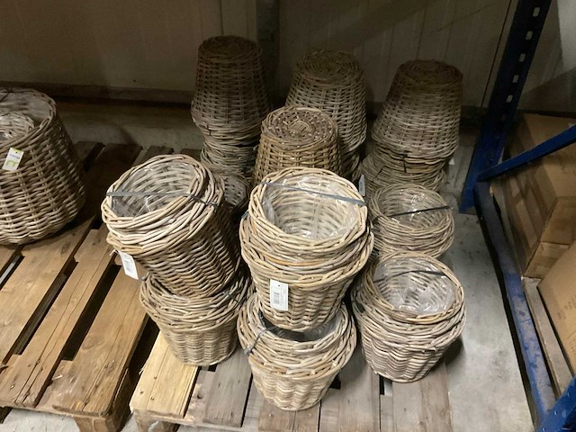 Manden - afbeelding 29 van  55