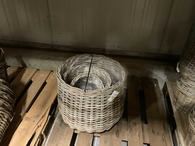 Manden - afbeelding 31 van  55