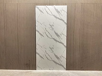 Mann 30162 260x122x40cm douche & badwand 4 panelen - afbeelding 1 van  19