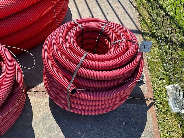 Mantelbuizen - afbeelding 2 van  2