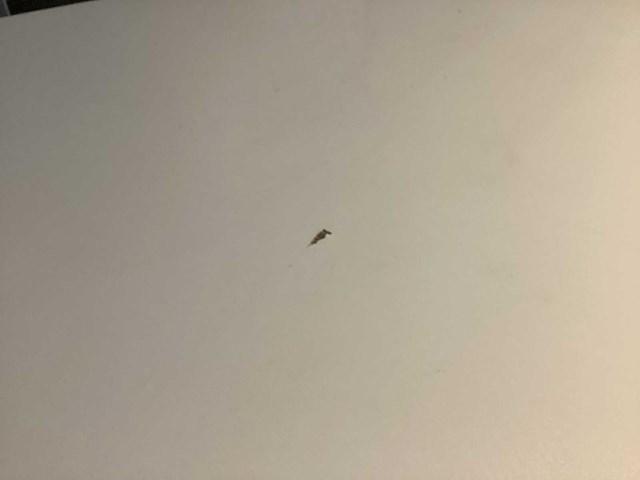 Manutan statafel - afbeelding 4 van  4