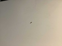 Manutan statafel - afbeelding 4 van  4